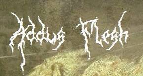logo Addus Flesh